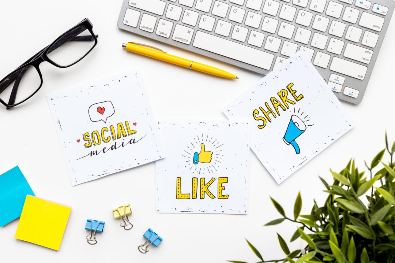 Best Content Creation in chennai